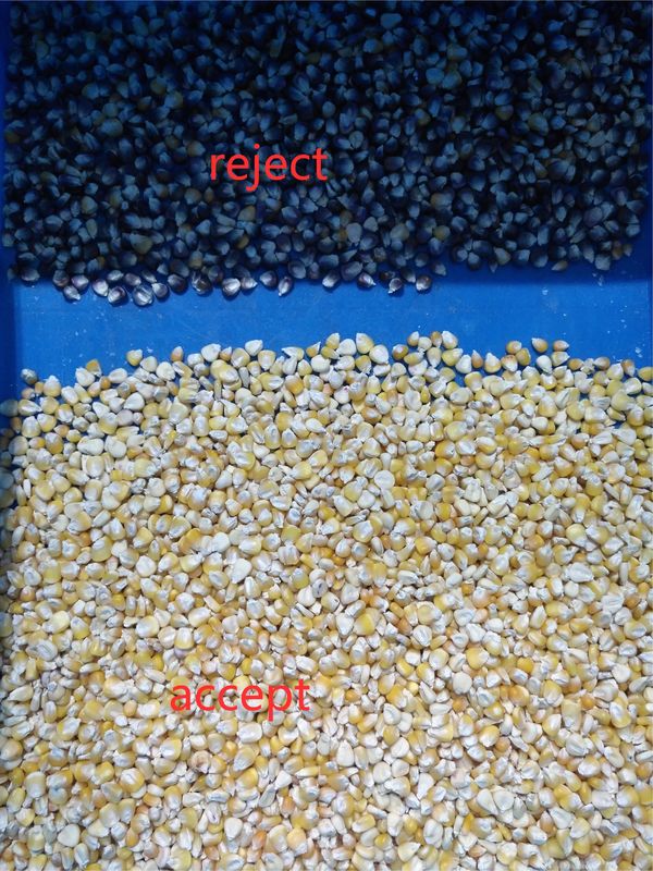Trieuse complètement automatique de couleur de grains d'opération facile avec l'intelligence artificielle