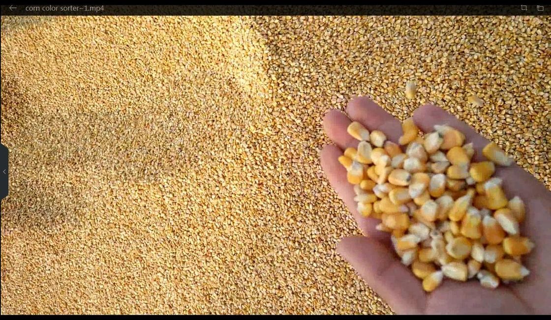 Trieuse complètement automatique de couleur de grains d'opération facile avec l'intelligence artificielle