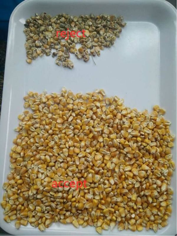 2 trieuse de couleur de maïs de Toshiba HD de descendeurs pour des haricots de grain de blé