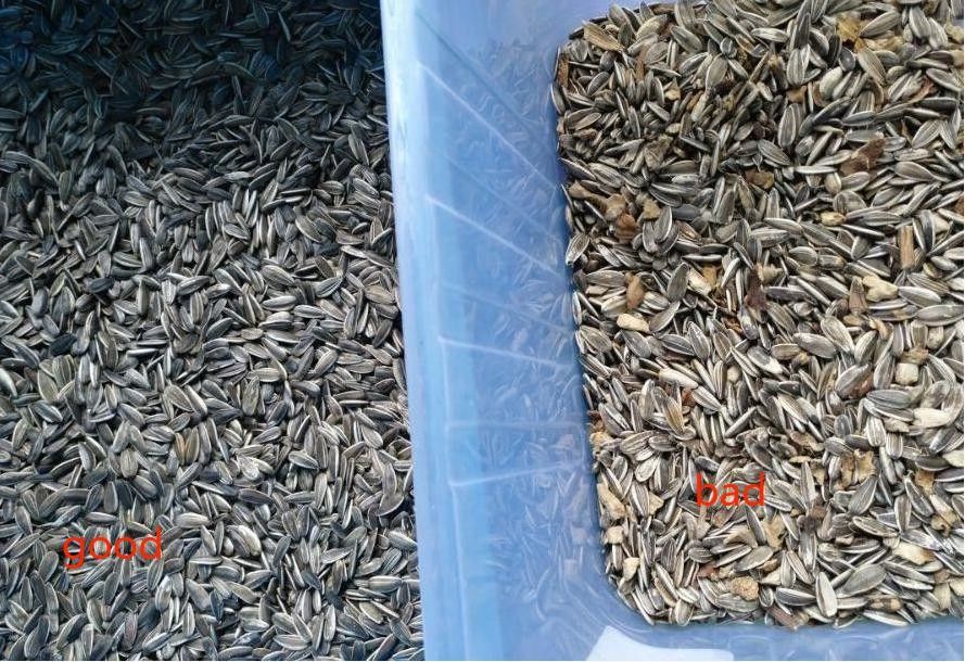 Trieuse de couleur de 2 des descendeurs 3Tons/H de capacité graines de tournesol pour le blé de riz