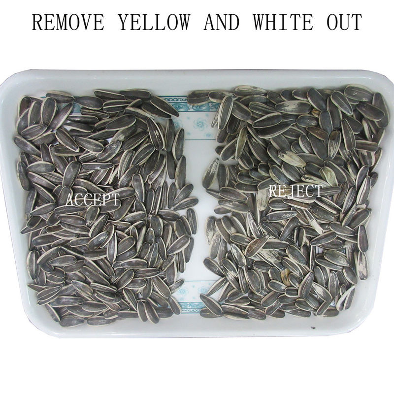 Trieuse de couleur de 2 des descendeurs 3Tons/H de capacité graines de tournesol pour le blé de riz