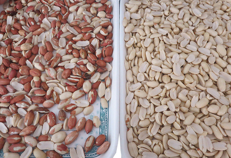 La caméra WENYAO CCD a permis un tri à grande vitesse pour le tri optique de la production de cacahuètes