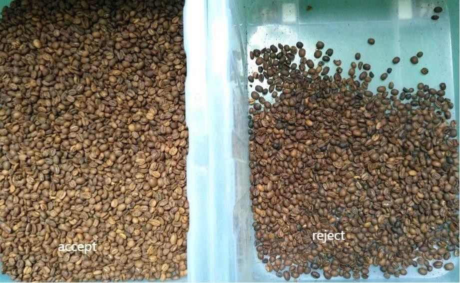 Wenyao 1 Chute 500 kg/h Séparateur de couleurs CCD haute sortie Grains de café torréfiés Machine de tri des couleurs des grains verts Sorteur de couleurs des grains