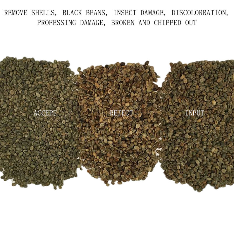 Trieuse verte de couleur de 128 de canaux grains de café pour Cherry Separating