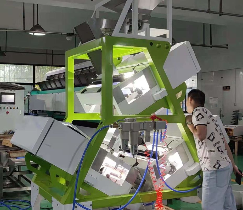 Machine de trieuse de couleur de thé de Puer de thé noir de thé vert avec la caméra optique de CCD de RVB