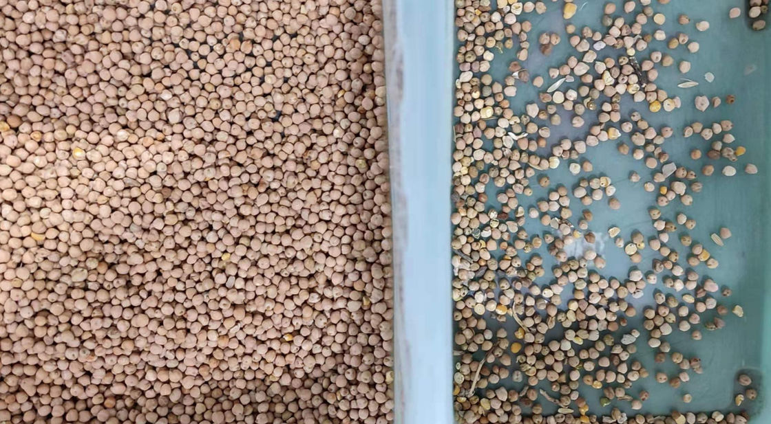 les haricots 800kg/H colorent la trieuse avec la caméra CCD de haute résolution de 5400 pixels
