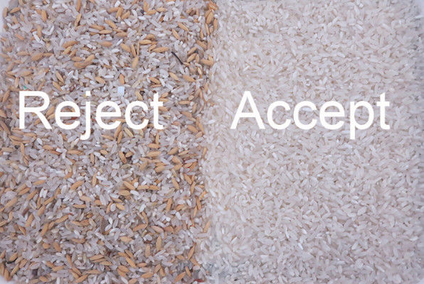 Trieuse de Paddy Broken Glutinous Rice Color de trieuse de couleur de riz de 5 Tons/H