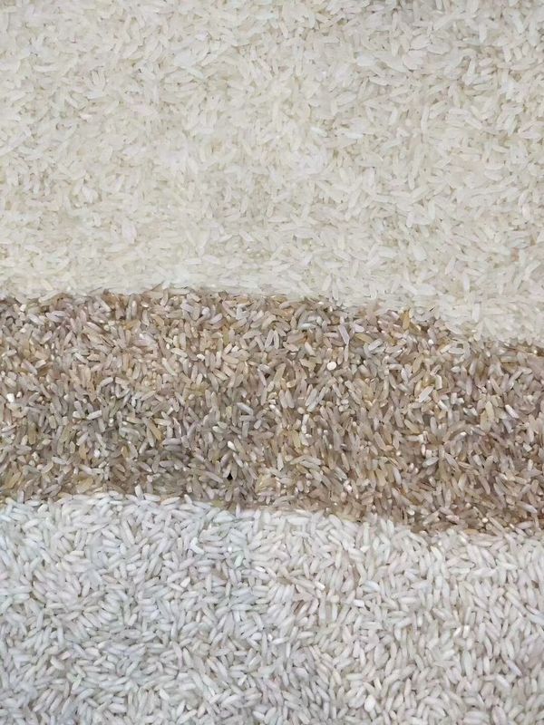 Trieuse de Paddy Broken Glutinous Rice Color de trieuse de couleur de riz de 5 Tons/H