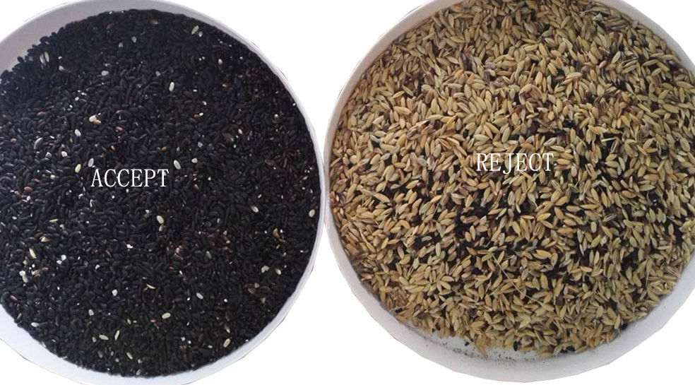 Trieuse de couleur de riz échaudée par capteur de CCD avec la capture de représentation de Toshiba HD