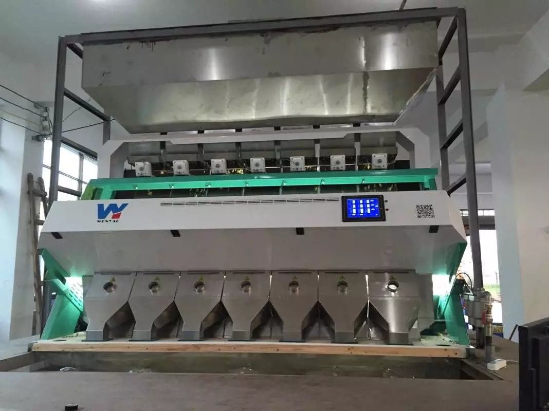 la garantie 2 ans 384 achemine le capteur de CCD de Toshiba de trieuse de couleur de graines de coriandre