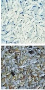 Trieuse de couleur de riz de 32 Channnels Mini Rice Color Sorter Machine très utilisée sur le marché de l'Indonésie