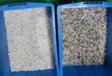 Trieuse de couleur de barytine de quartz de trieuse de couleur de minerai avec la capacité 2 Tons/H