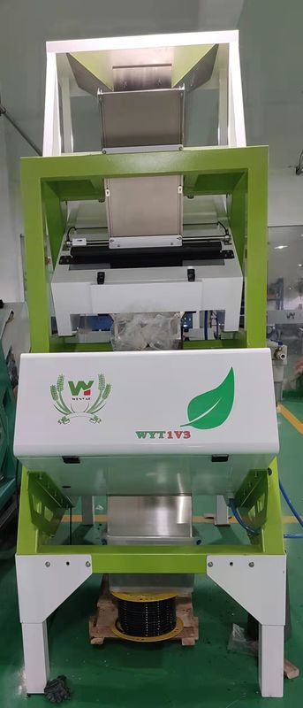 Machine verte 200kg/H de trieuse de couleur de thé noir avec la caméra CCD de RVB