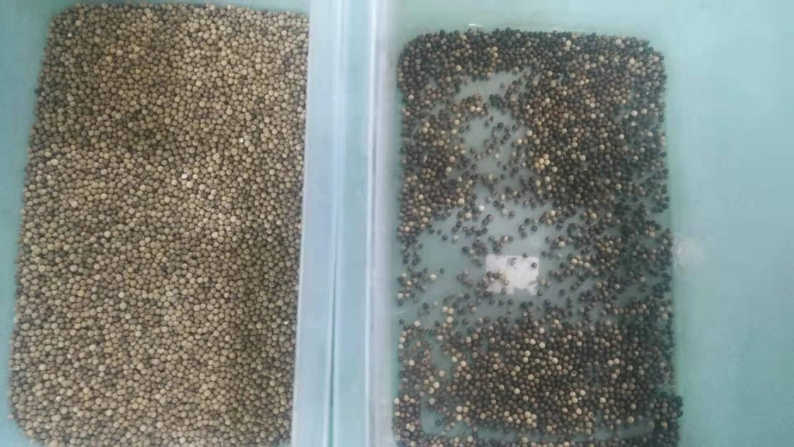 CCD automatique multifonctionnel de trieuse de couleur de riz de sésame de blé de quinoa de maïs optique