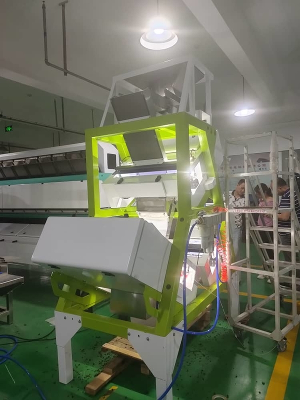 Machine de WENYAO Flower Tea Color Sorter pour la sélection jaune de bâtons
