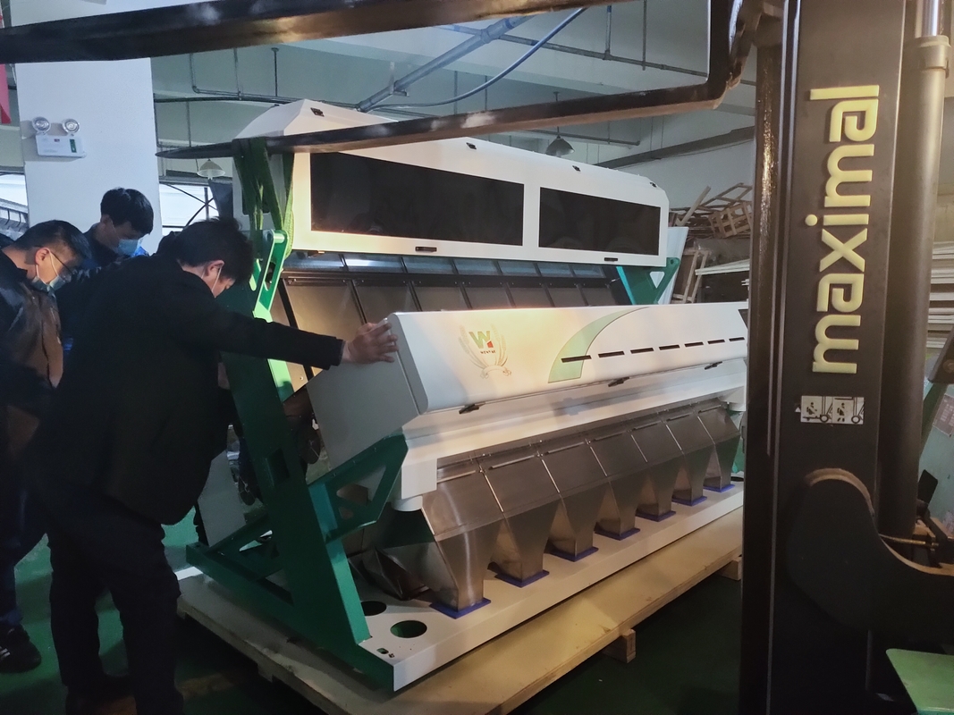 Machine de trieuse de couleur de noix de cajou de macadamia de riz d'haricots avec la lumière menée avancée