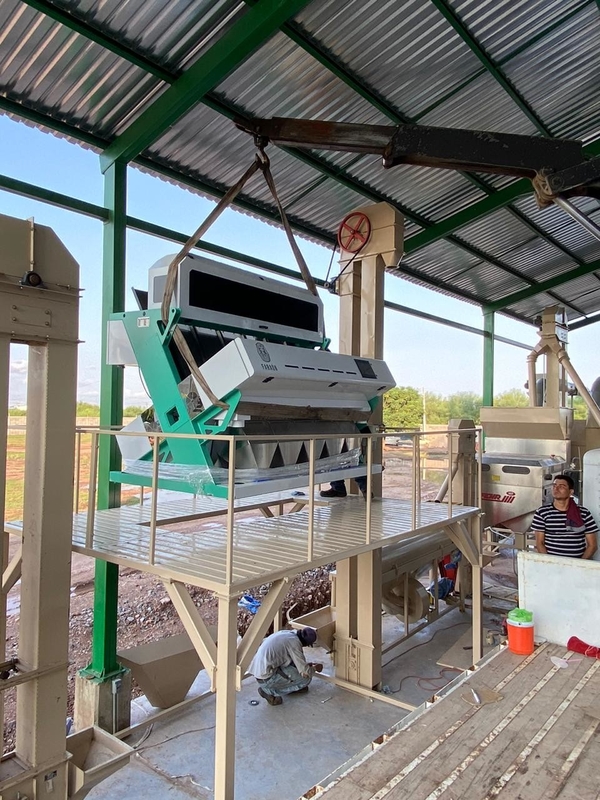 Machine de trieuse de couleur de riz brun pour séparer le riz gâté de qualité