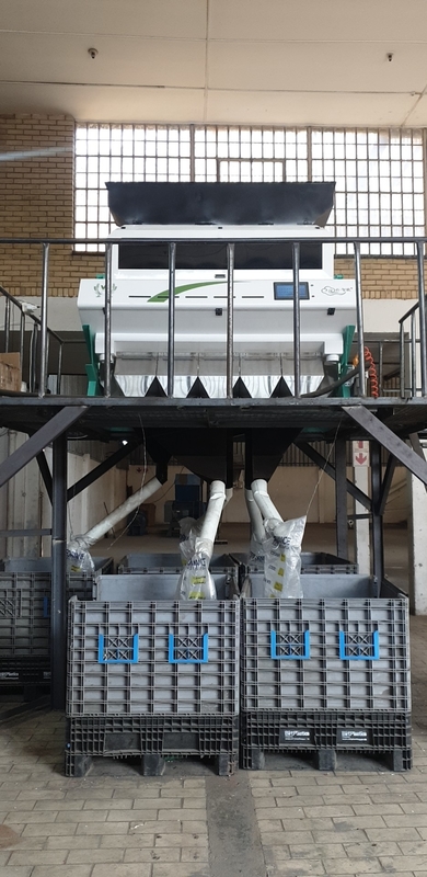 Machine de trieuse de couleur de riz brun pour séparer le riz gâté de qualité