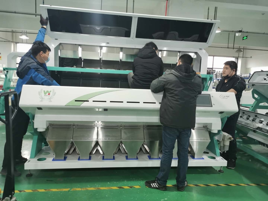 Trieuse végétale de couleur d'Optica d'ail d'Olive Fruit Sorting Machine Unpeeled de 448 canaux