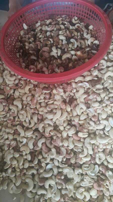 Trieuse de couleur de Mini Cashew Color Sorter Cashew avec 2 caméras de RVB 32 canaux