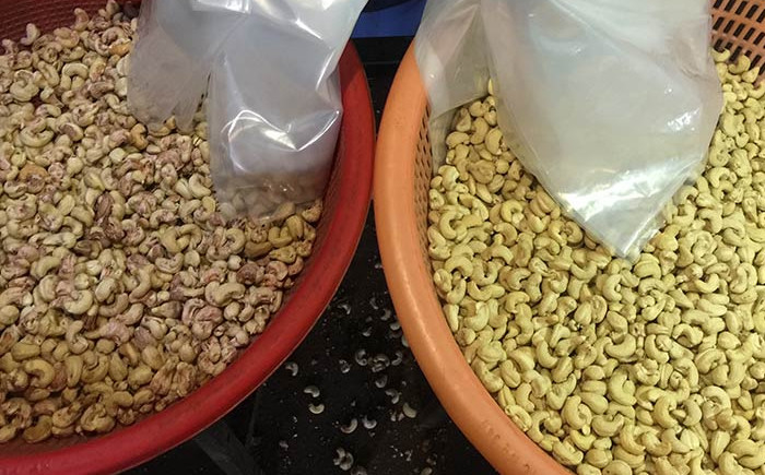 Trieuse de couleur de Mini Cashew Color Sorter Cashew avec 2 caméras de RVB 32 canaux