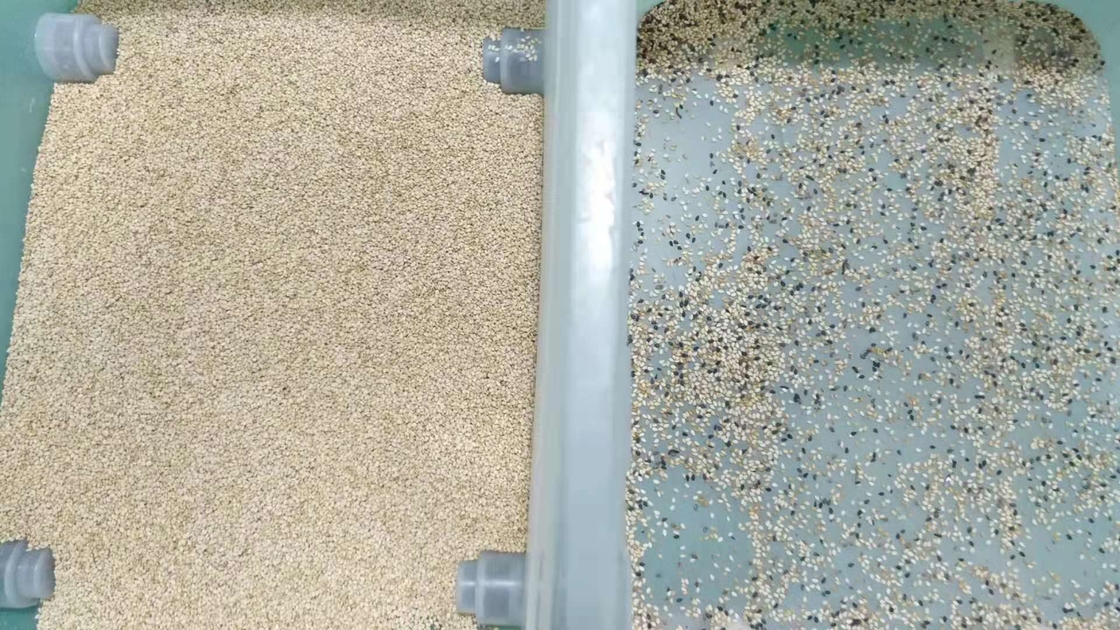 CCD automatique multifonctionnel de trieuse de couleur de riz de sésame de blé de quinoa de maïs optique