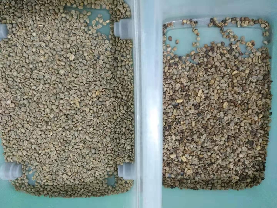Café de calcul automatique Bean Color Sorter Mini 32 canaux