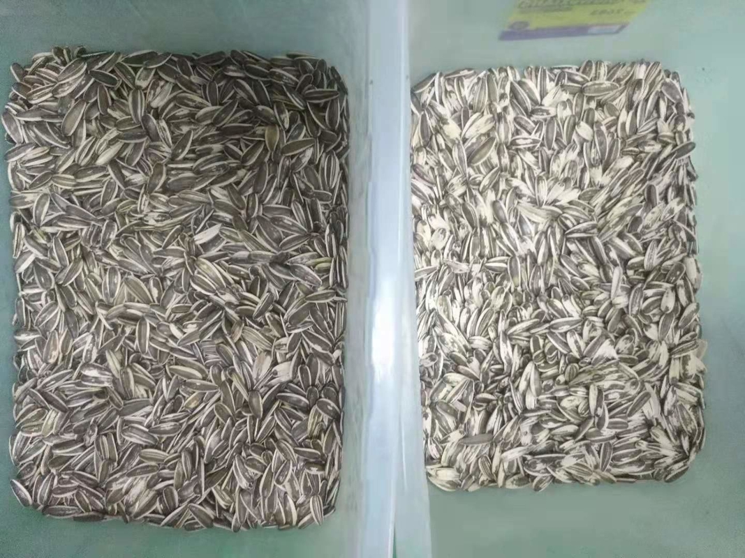 CCD automatique multifonctionnel de trieuse de couleur de riz de sésame de blé de quinoa de maïs optique
