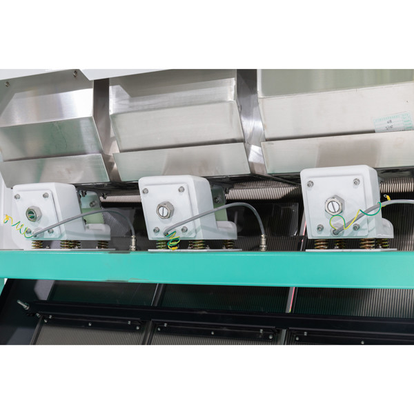 Trieuse en plastique de double de bandes de conveyeur trieuse en plastique de couleur