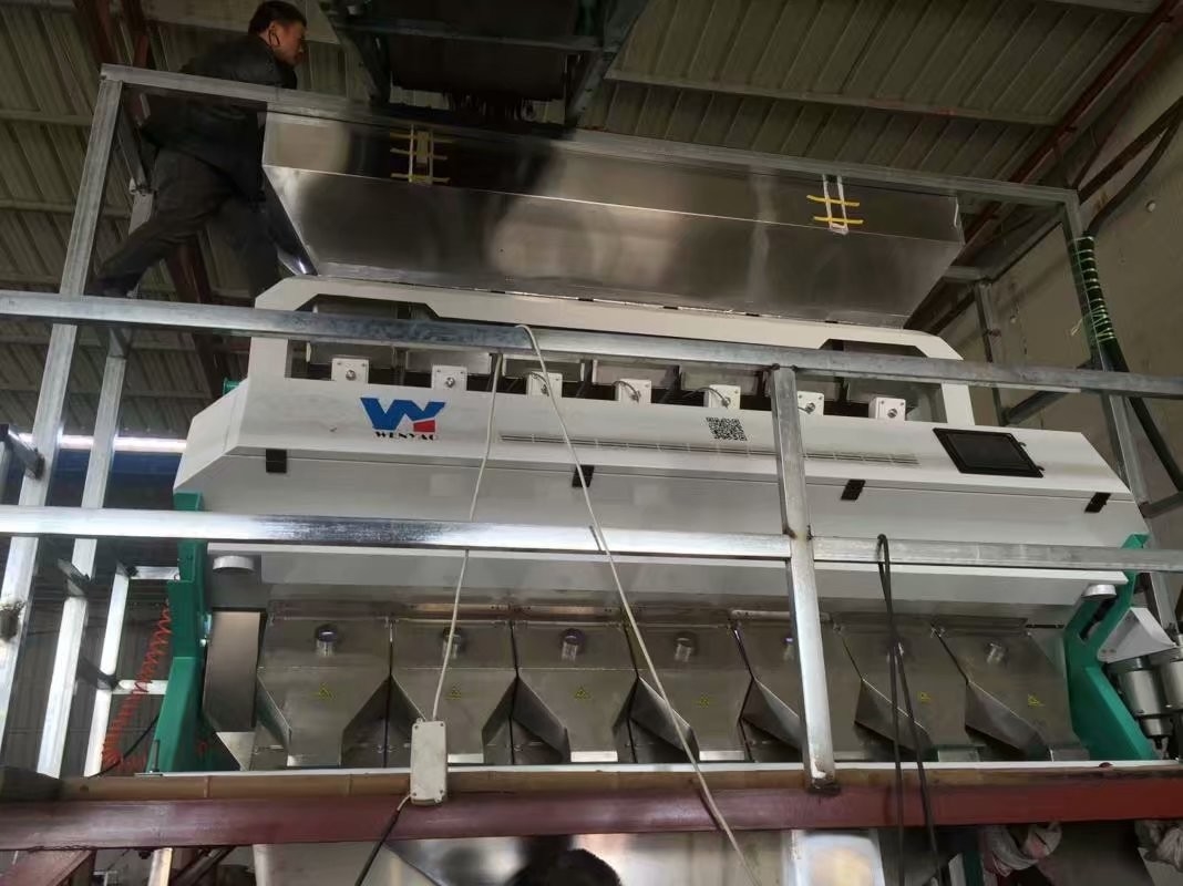 Machine échaudée de trieuse de couleur de riz avec l'éjecteur en métal