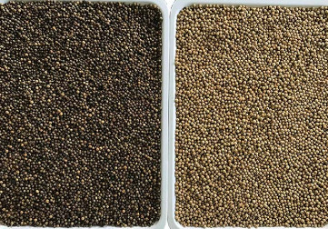 CCD automatique multifonctionnel de trieuse de couleur de riz de sésame de blé de quinoa de maïs optique