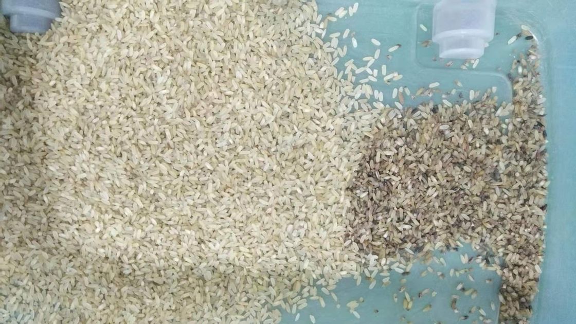 Canaux de la machine 32 de CCD Mini Brown Rice Color Sorting