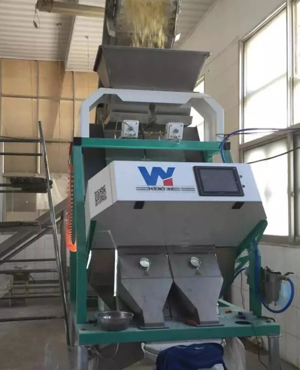 Précision industrielle de sel de trieuse optique de couleur haute