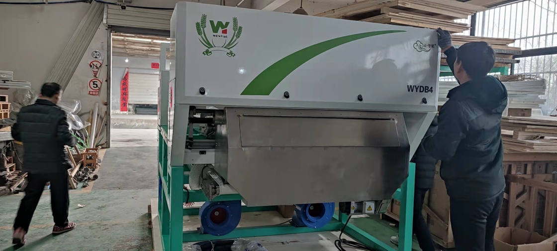 Capacité élevée de trieuse de couleur en métal de RVB pour le zinc en aluminium de cuivre
