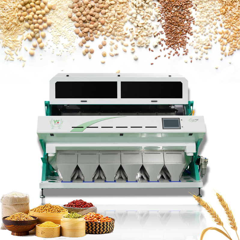 Trieuse de couleur de Bean Color Sorting Machine Bean de 6 descendeurs