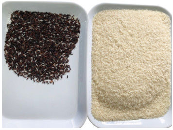 Canaux de la machine 32 de CCD Mini Brown Rice Color Sorting