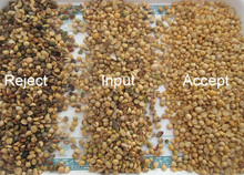 Exactitude de Bean Color Sorter 99,90% du soja de trieuse de couleur de soja de descendeurs du CCD 6 de RVB