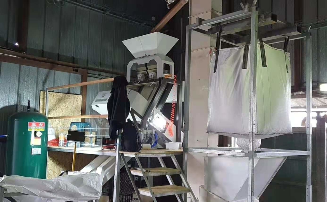 Le noisetier d'Australie sème des descendeurs de Bean Grain Color Sorting Machine 1 64 canaux