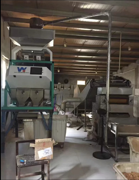 Le noisetier d'Australie sème des descendeurs de Bean Grain Color Sorting Machine 1 64 canaux