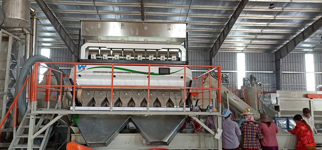 Sortie optique de la trieuse 4000kg/H de blé de caméra CCD 320 canaux
