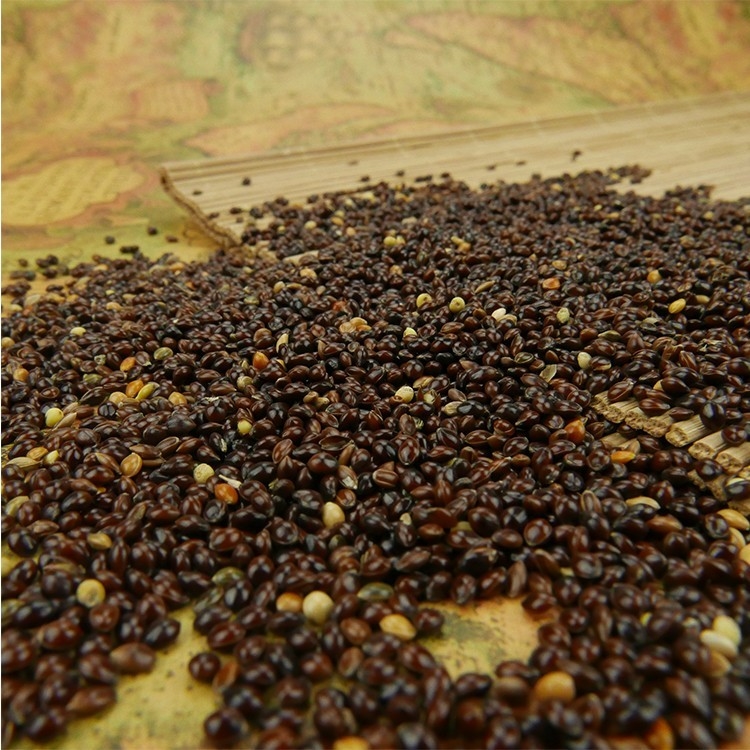 Café automatique Bean Color Sorter Machine For assortissant des haricots