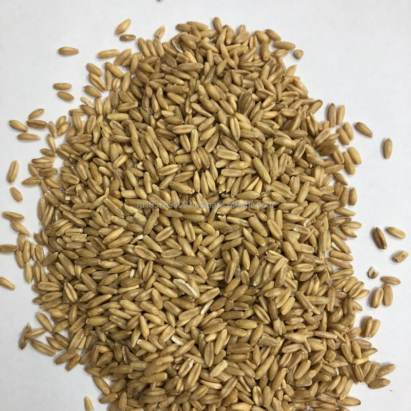 Trieuse de couleur d'avoine de grain pour le blé d'orge
