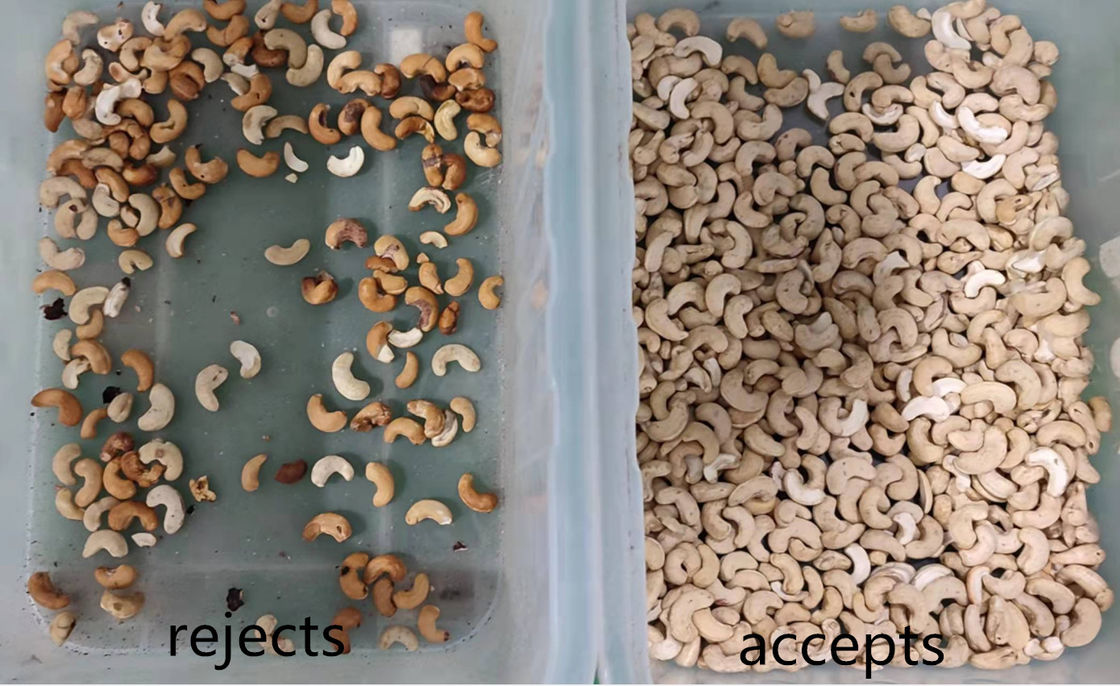 Trieuse automatique de couleur de riz de CCD pour enlever les écrous jaunes noirs de haricots de lentille d'avoine de riz