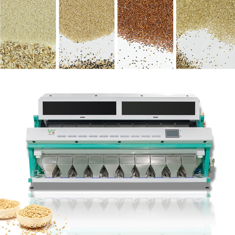 Individu alimentant la trieuse intelligente 10t/h de couleur de blé de quinoa