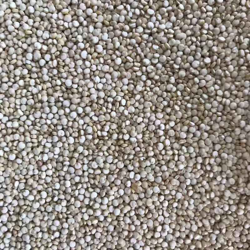 LED CCD petite machine de trieuse de couleur de blé de quinoa 1 goulotte