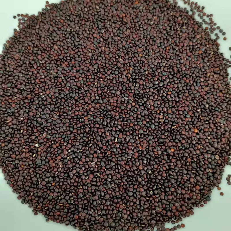 LED CCD petite machine de trieuse de couleur de blé de quinoa 1 goulotte