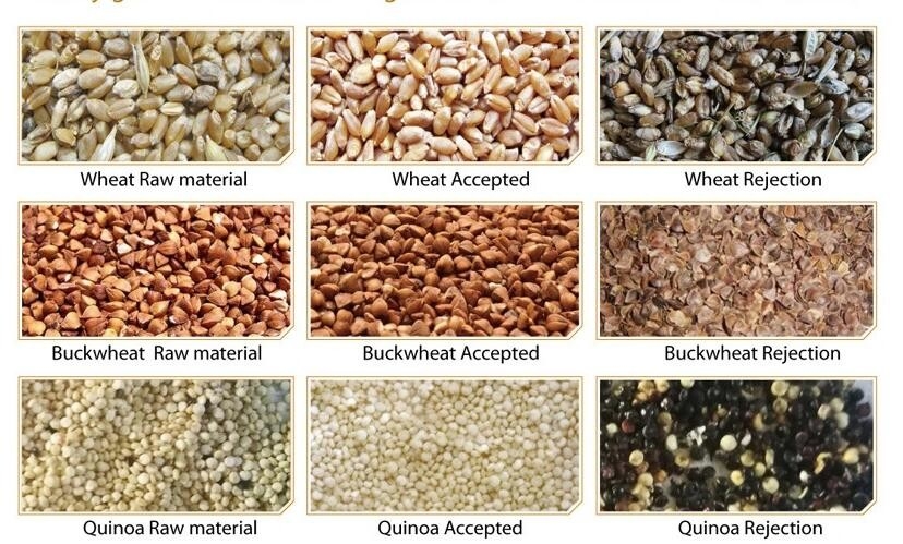 Trieuse de couleur de grain de Rye d'orge de blé 5 Ton/H avec la caméra CCD