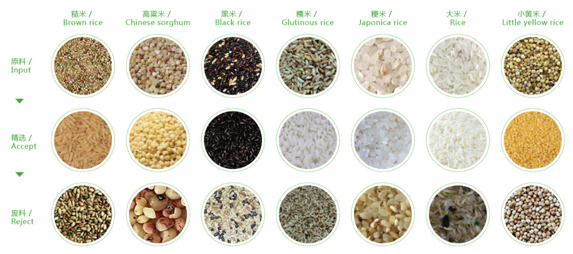 Trieuse de couleur de céréale de noix de sésame de riz de CCD de WENYAO Color Sorter Optical