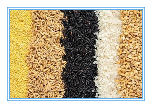Mini prix de machine de trieuse de couleur de grain de CCD d'usine de nourriture