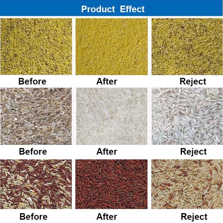 Trieuse de basse couleur de consommation pour l'usine de nourriture et de boisson